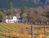 Winelands in South Africa