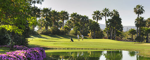 Hotel Las Madrigueras Golf Resort and Spa