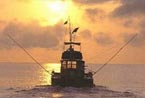 fishing holiday in Mauritius with Chaka Travel