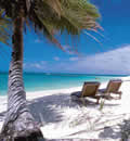 Denis island seychelles